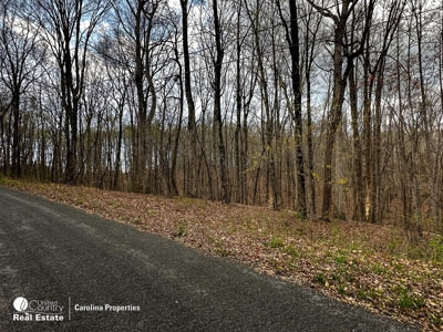 Timberland for Sale in Surry County NC - image 10