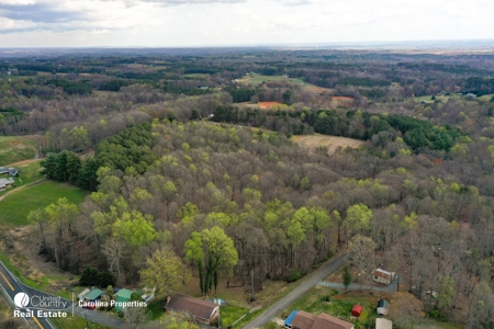 Timberland for Sale in Surry County NC - image 8