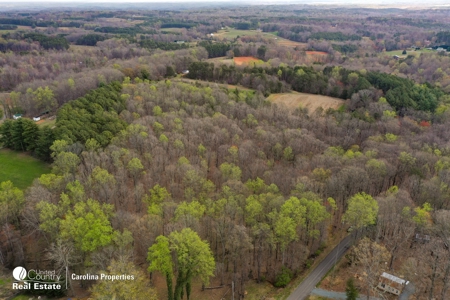 Timberland for Sale in Surry County NC - image 6