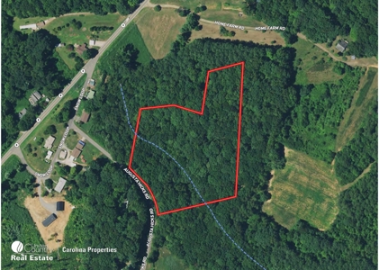 Timberland for Sale in Surry County NC - image 12