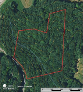 Timberland for Sale in Surry County NC - image 11