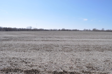 Patton/ Lyle Family Farmland Auction - image 6