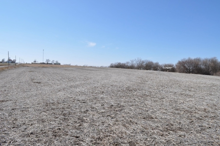 Patton/ Lyle Family Farmland Auction - image 9