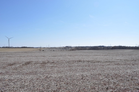 Patton/ Lyle Family Farmland Auction - image 3