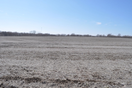 Patton/ Lyle Family Farmland Auction - image 4