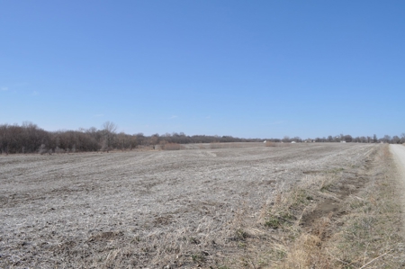 Patton/ Lyle Family Farmland Auction - image 10