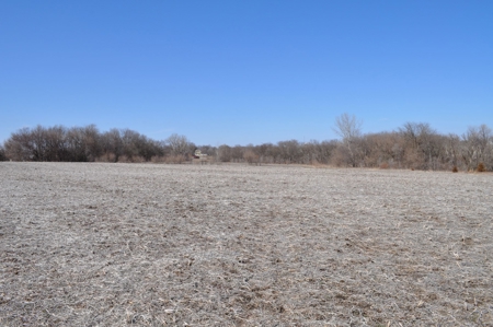 Patton/ Lyle Family Farmland Auction - image 8