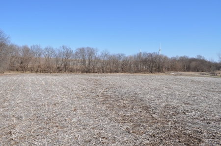 Patton/ Lyle Family Farmland Auction - image 11