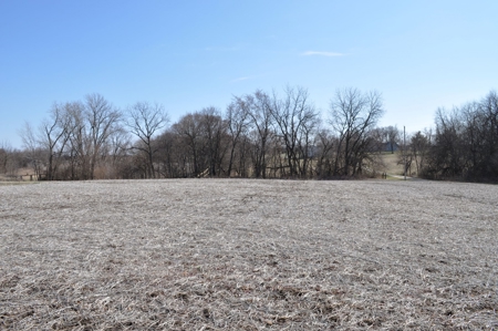 Patton/ Lyle Family Farmland Auction - image 12