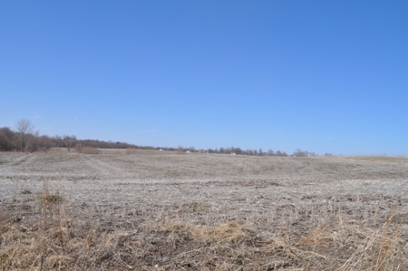 Patton/ Lyle Family Farmland Auction - image 7