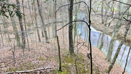 Hocking Hills Ohio Land for Sale - image 15