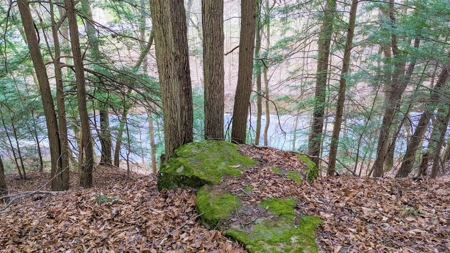 Hocking Hills Ohio Land for Sale - image 1