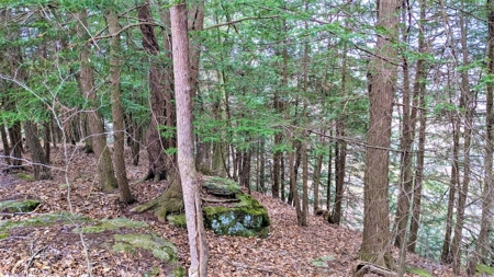 Hocking Hills Ohio Land for Sale - image 7