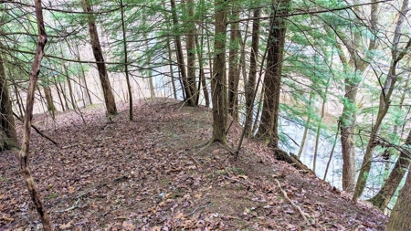Hocking Hills Ohio Land for Sale - image 12