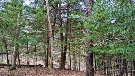 Hocking Hills Ohio Land for Sale - image 11