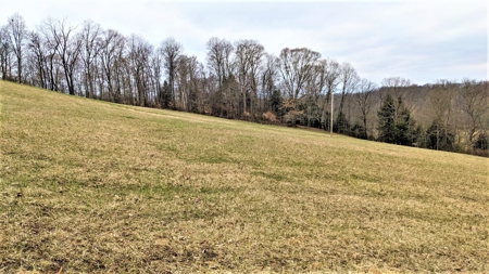 Hocking Hills Ohio Land for Sale - image 3