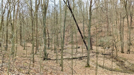 Hocking Hills Ohio Land for Sale - image 17