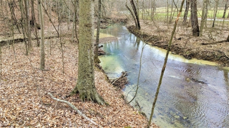 Hocking Hills Ohio Land for Sale - image 18