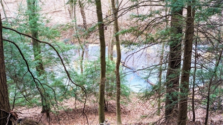 Hocking Hills Ohio Land for Sale - image 10