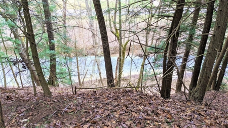 Hocking Hills Ohio Land for Sale - image 13