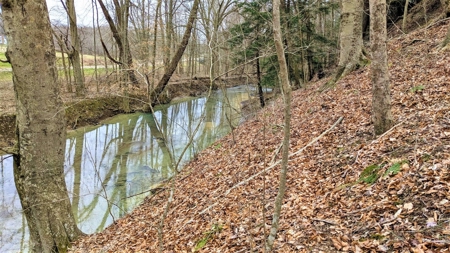 Hocking Hills Ohio Land for Sale - image 19