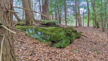 Hocking Hills Ohio Land for Sale - image 8