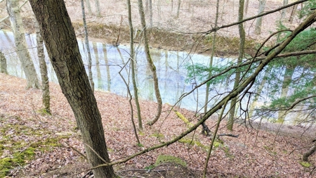 Hocking Hills Ohio Land for Sale - image 14