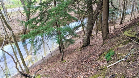 Hocking Hills Ohio Land for Sale - image 16