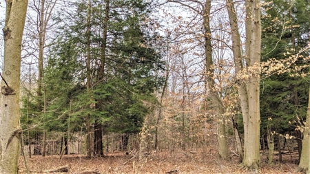 Hocking Hills Ohio Land for Sale - image 6