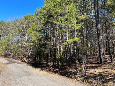 5.07+/- Wooded Acres For Sale South of Clinton, Arkansas - image 1