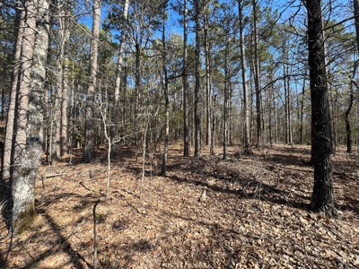 5.07+/- Wooded Acres For Sale South of Clinton, Arkansas - image 11