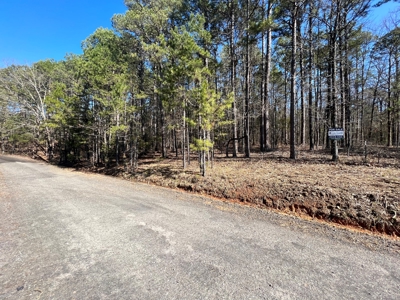 5.07+/- Wooded Acres For Sale South of Clinton, Arkansas - image 3
