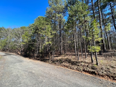 5.07+/- Wooded Acres For Sale South of Clinton, Arkansas - image 2