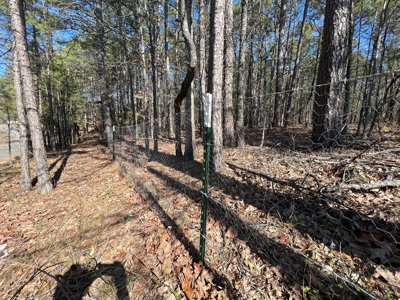5.07+/- Wooded Acres For Sale South of Clinton, Arkansas - image 10