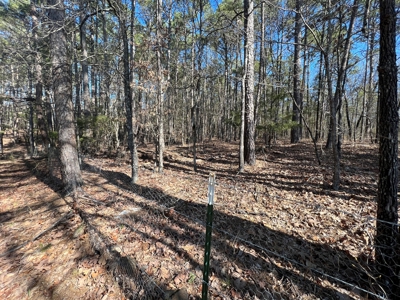 5.07+/- Wooded Acres For Sale South of Clinton, Arkansas - image 9