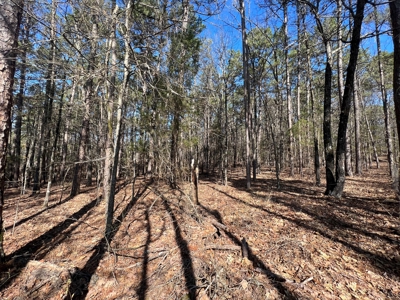 5.07+/- Wooded Acres For Sale South of Clinton, Arkansas - image 6