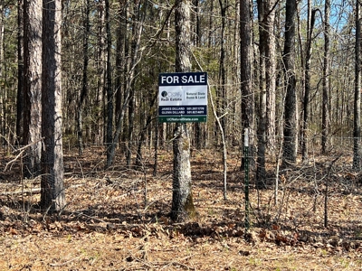 5.07+/- Wooded Acres For Sale South of Clinton, Arkansas - image 4
