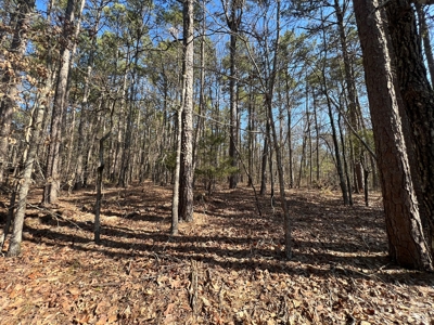 5.07+/- Wooded Acres For Sale South of Clinton, Arkansas - image 8