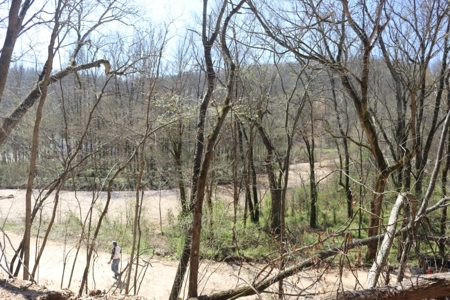14 Acres of Wooded Land For Sale - image 20