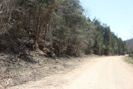 14 Acres of Wooded Land For Sale - image 25