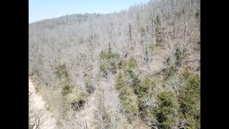 14 Acres of Wooded Land For Sale - image 3