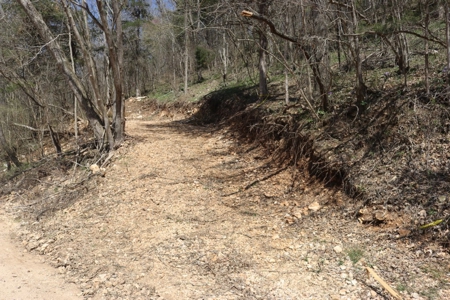 14 Acres of Wooded Land For Sale - image 15