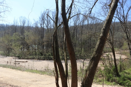14 Acres of Wooded Land For Sale - image 24