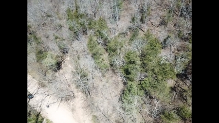 14 Acres of Wooded Land For Sale - image 5