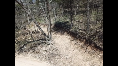 14 Acres of Wooded Land For Sale - image 7