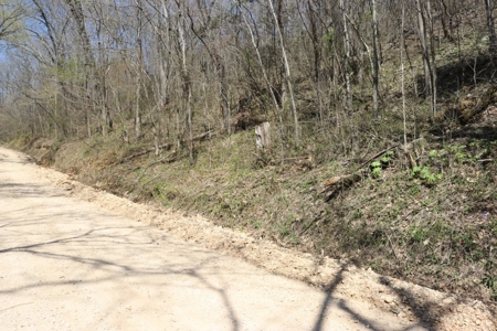 14 Acres of Wooded Land For Sale - image 10