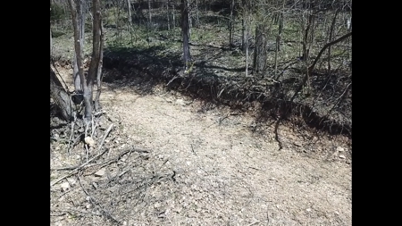 14 Acres of Wooded Land For Sale - image 6
