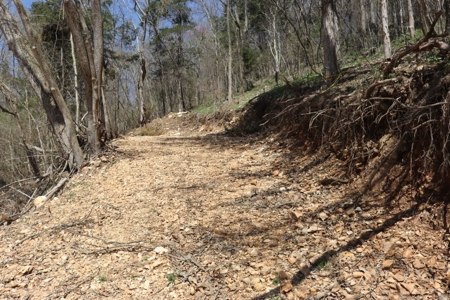 14 Acres of Wooded Land For Sale - image 16
