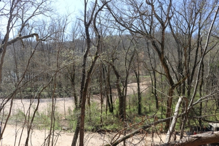 14 Acres of Wooded Land For Sale - image 21