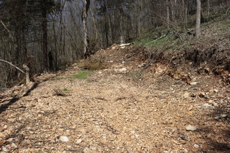 14 Acres of Wooded Land For Sale - image 17